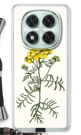 Tansy