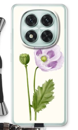 Purple poppy