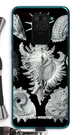 Haeckel Prosobranchia