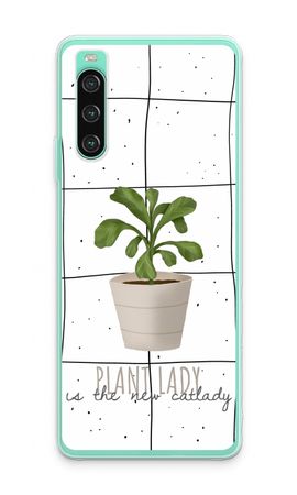 Houseplant on windowpane