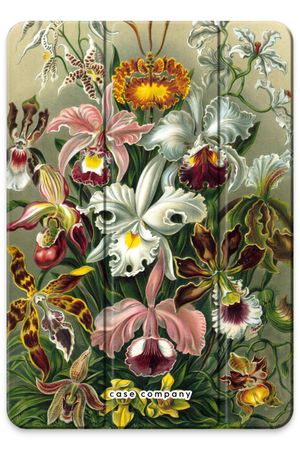 Haeckel Orchidae