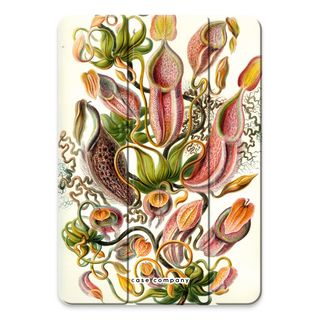 Haeckel Nepenthaceae