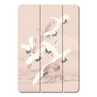 Japanese Crane Birds