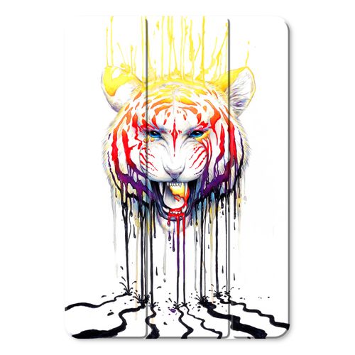 iPad case