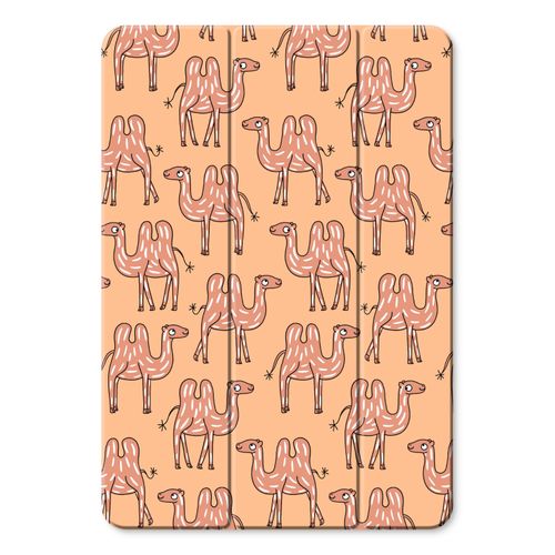 iPad case