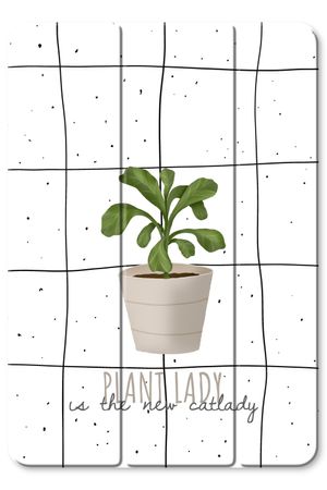 Houseplant on windowpane