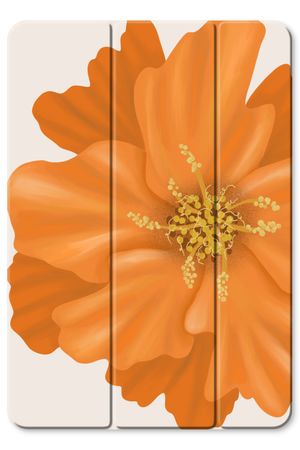 Orange Ellila flower