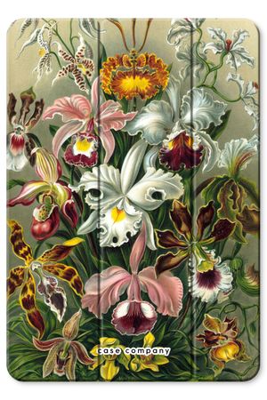 Haeckel Orchidae