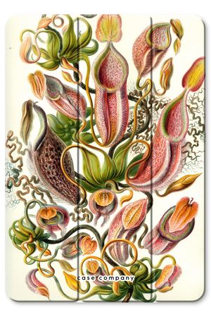 Haeckel Nepenthaceae