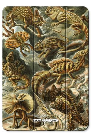Haeckel Lacertilia