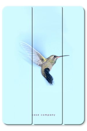 Hummingbird