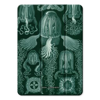 Haeckel Cubomedusae