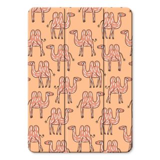 Camel