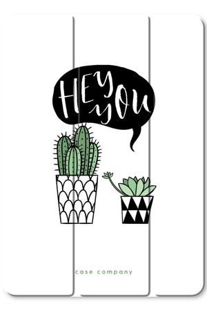 Hey you cactus