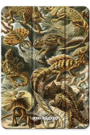 Haeckel Lacertilia