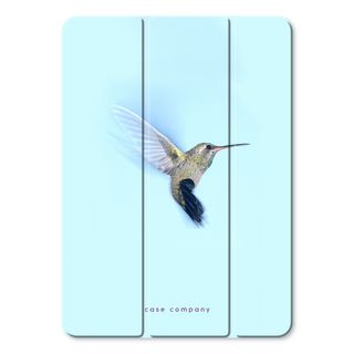 Hummingbird