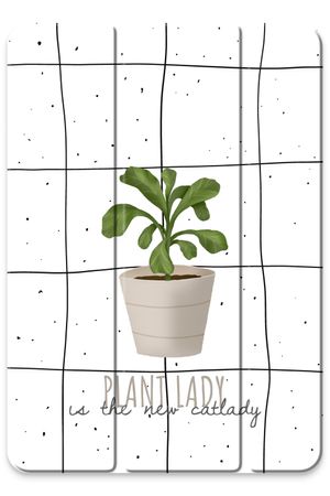 Houseplant on windowpane