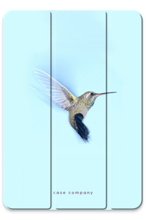 Hummingbird