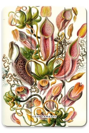 Haeckel Nepenthaceae