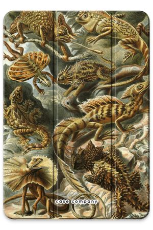 Haeckel Lacertilia