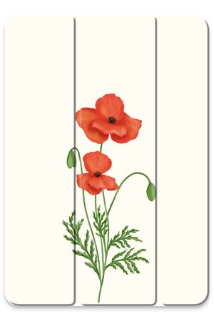 Red poppy