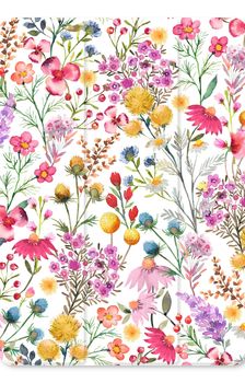 Delicate Plants and Flowers