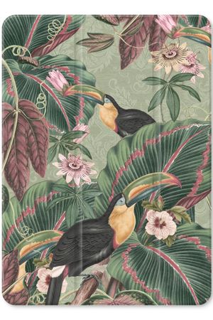 Tropical jungle toucan