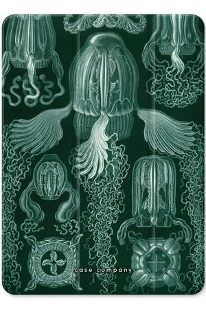 Haeckel Cubomedusae