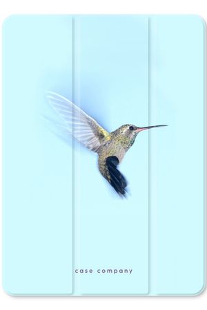 Hummingbird