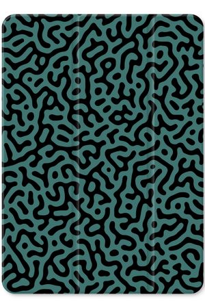 Turing pattern