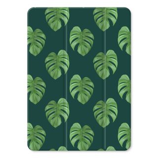 Monstera leaves