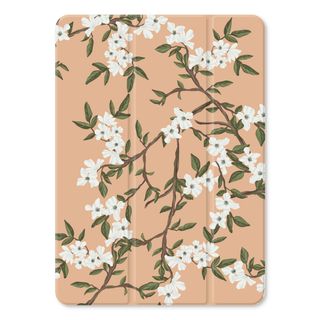 Blossoming spring