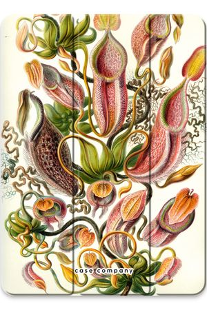 Haeckel Nepenthaceae