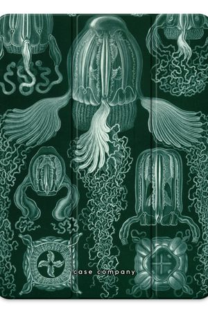 Haeckel Cubomedusae