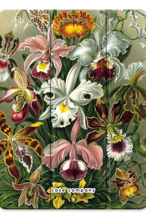 Haeckel Orchidae