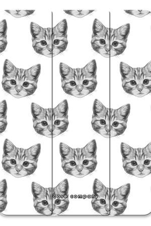 Kitten