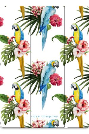 Colourful parrots