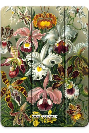 Haeckel Orchidae