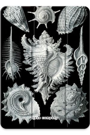 Haeckel Prosobranchia