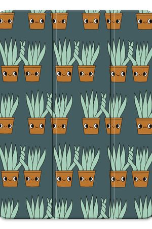 Sansevieria