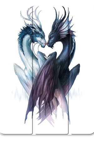 Yin Yang Dragons