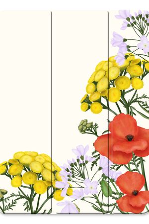 Fiori selvatici