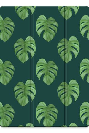 Monstera leaves