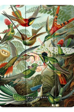 Haeckel Trochilidae