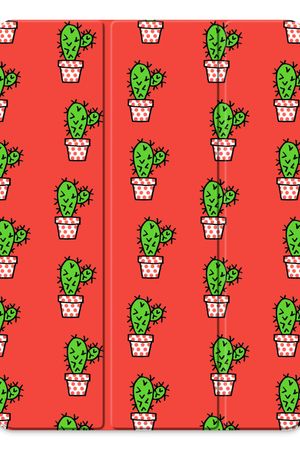 Mini cactus