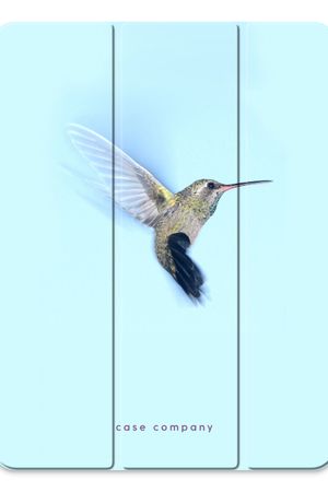 Hummingbird