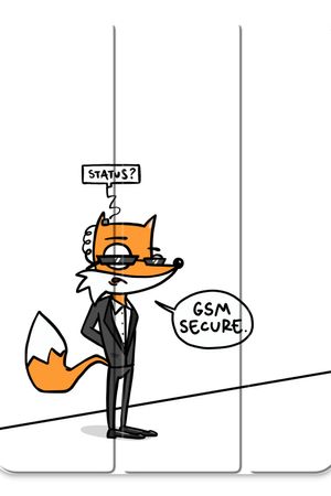 GSM secure