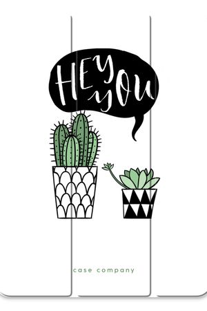 Hey you cactus