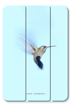 Hummingbird