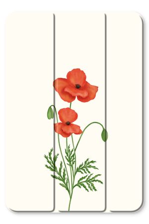 Red poppy